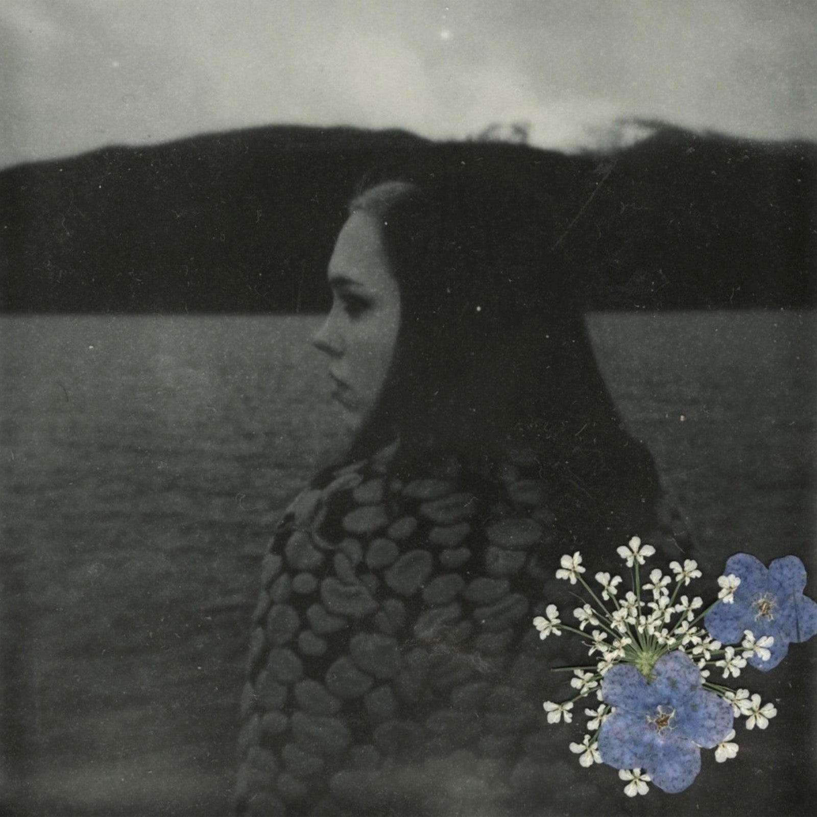 Evergreen: CD - Image 2