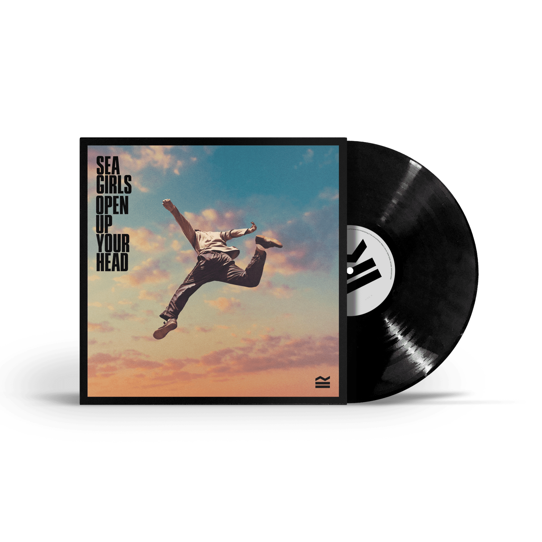 Open Up Your Head: Vinyl LP