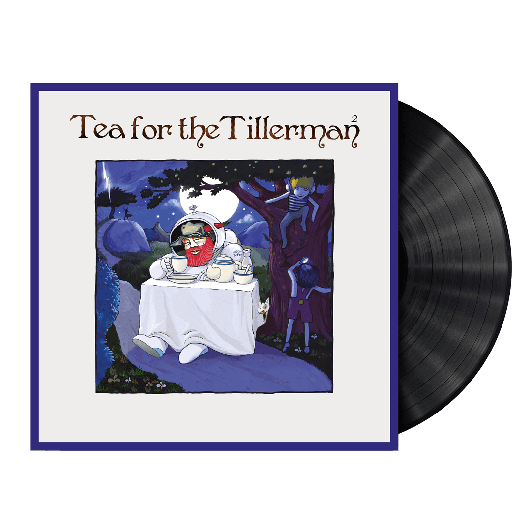 Tea For The Tillerman2: Vinyl LP