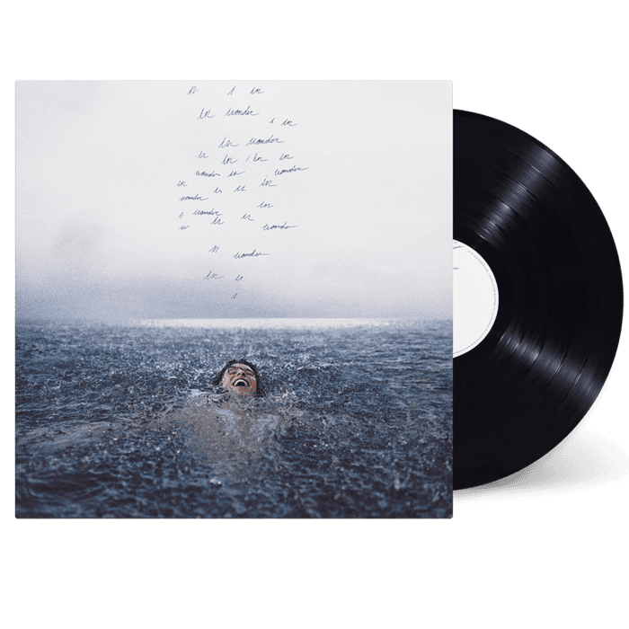 WONDER STANDARD VINYL