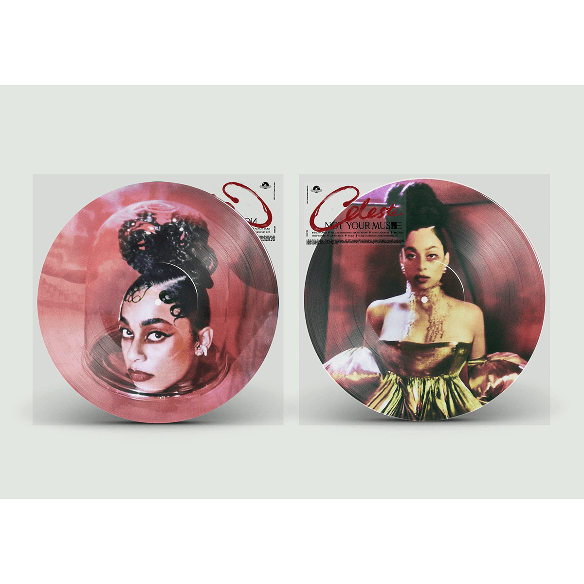 NOT YOUR MUSE SPECIAL ALTERNATIVE TRACK LISTING EDITION PICTURE DISC (LIMITED)