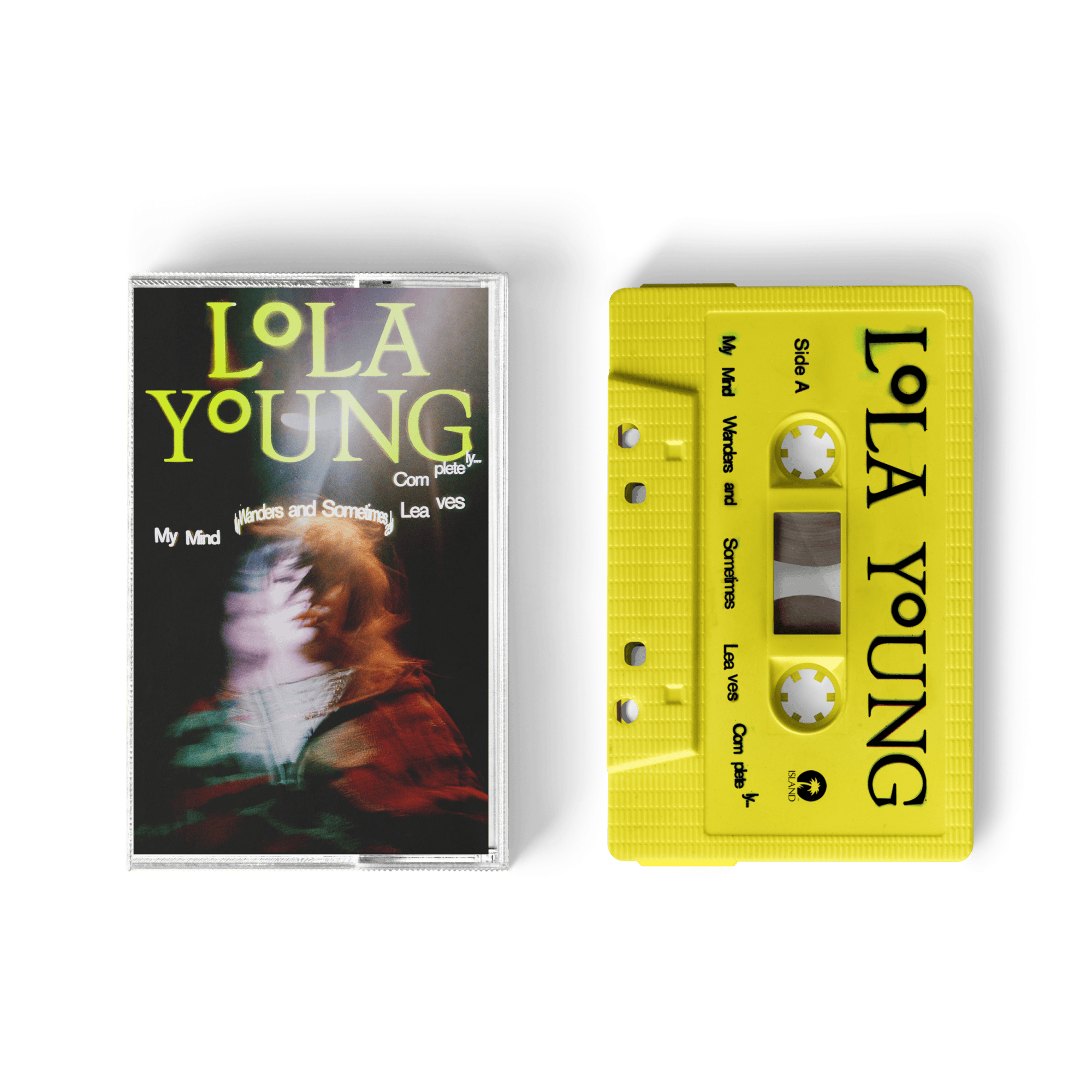 My Mind Wanders and Sometimes Leaves Completely: Standard Cassette
