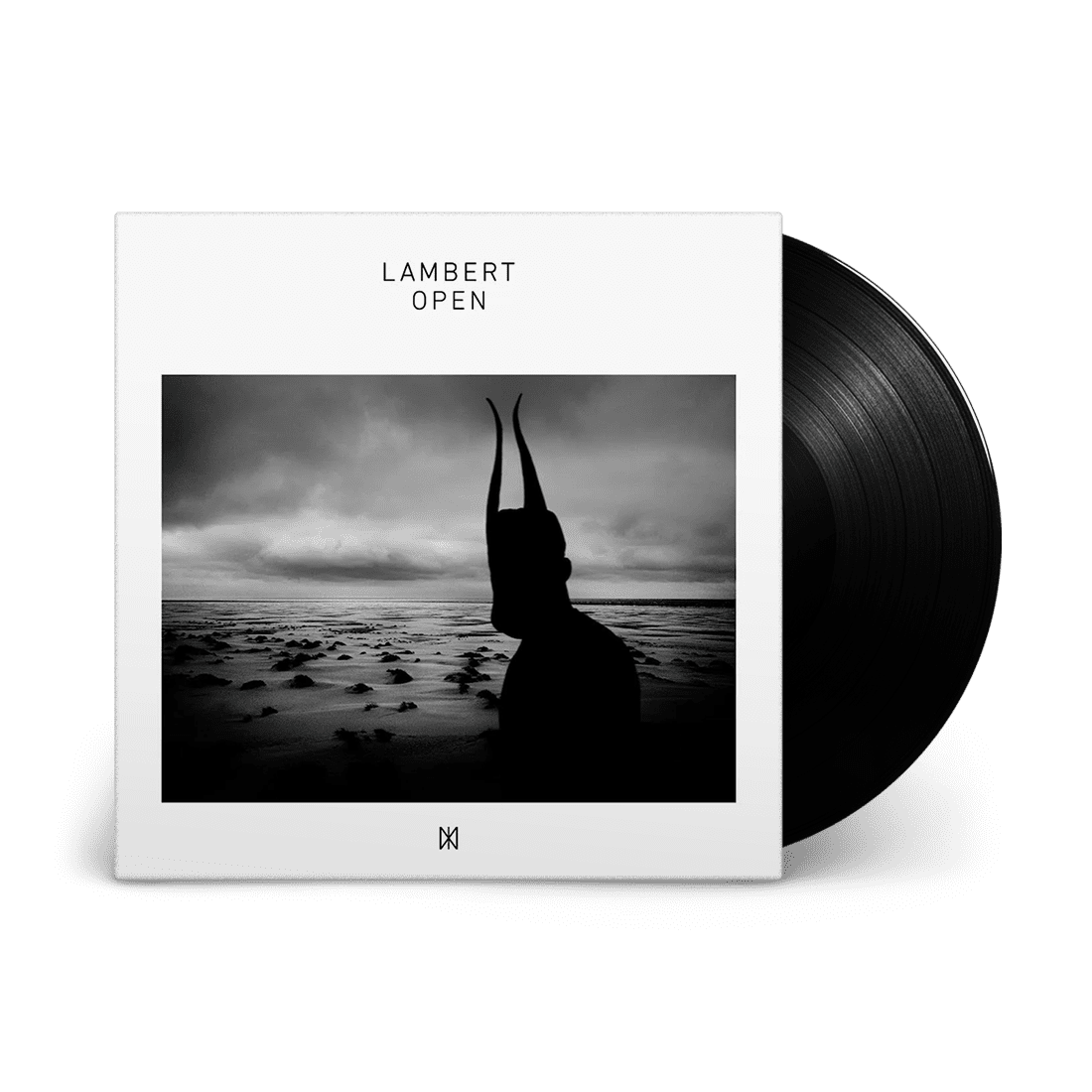 Open: Vinyl LP