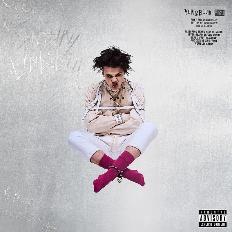 21st Century Liability (5 Year Anniversary Edition): Pink Vinyl LP - Image 2