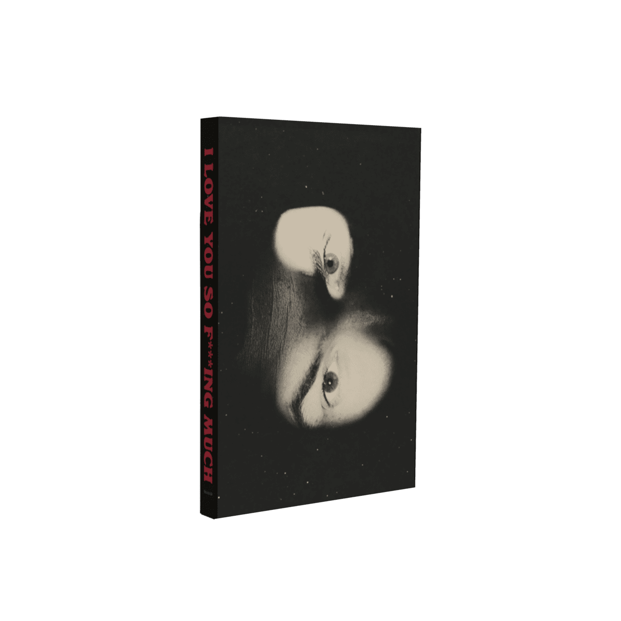 I Love You So F***ing Much: Joe Cassette