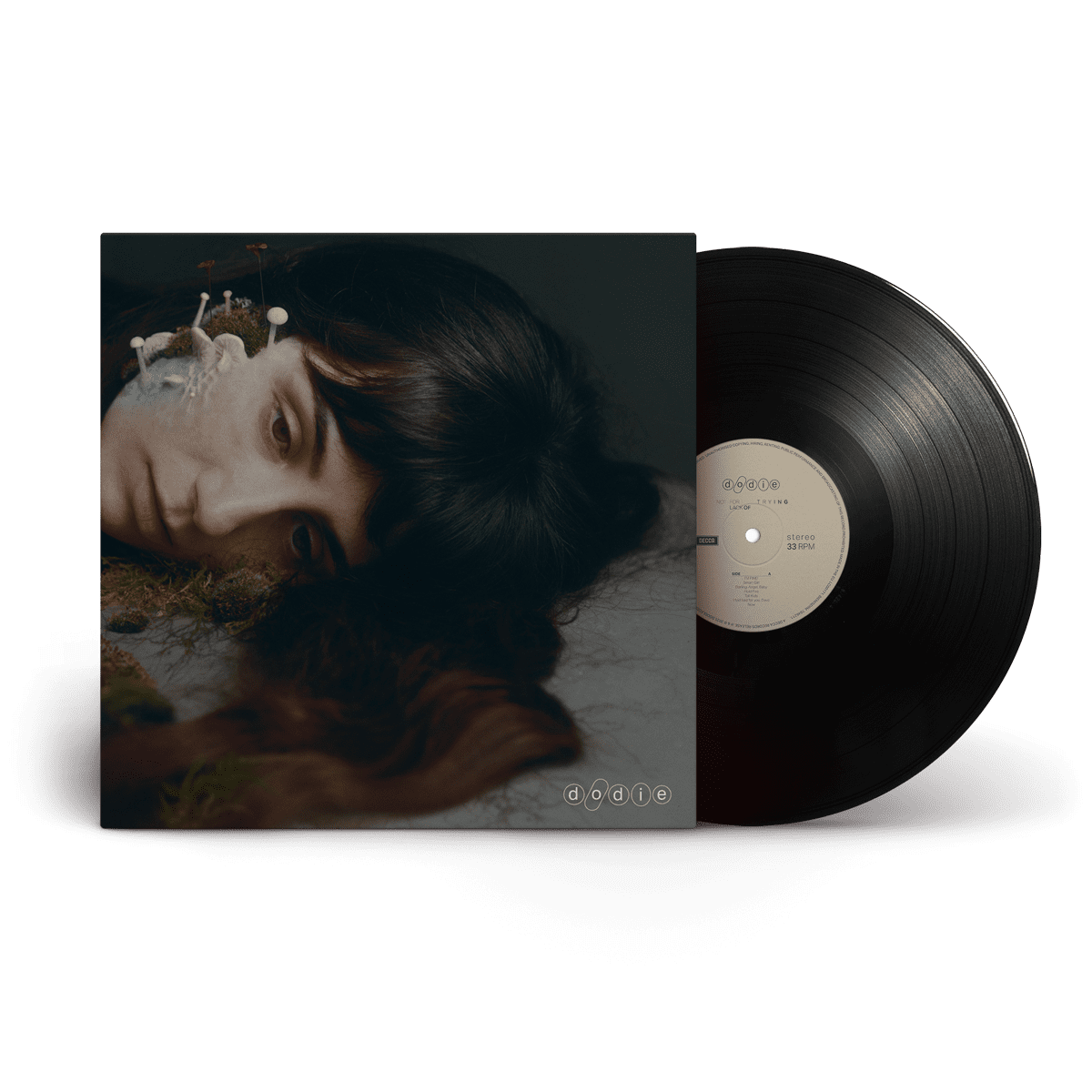 Not For Lack Of Trying Vinyl LP