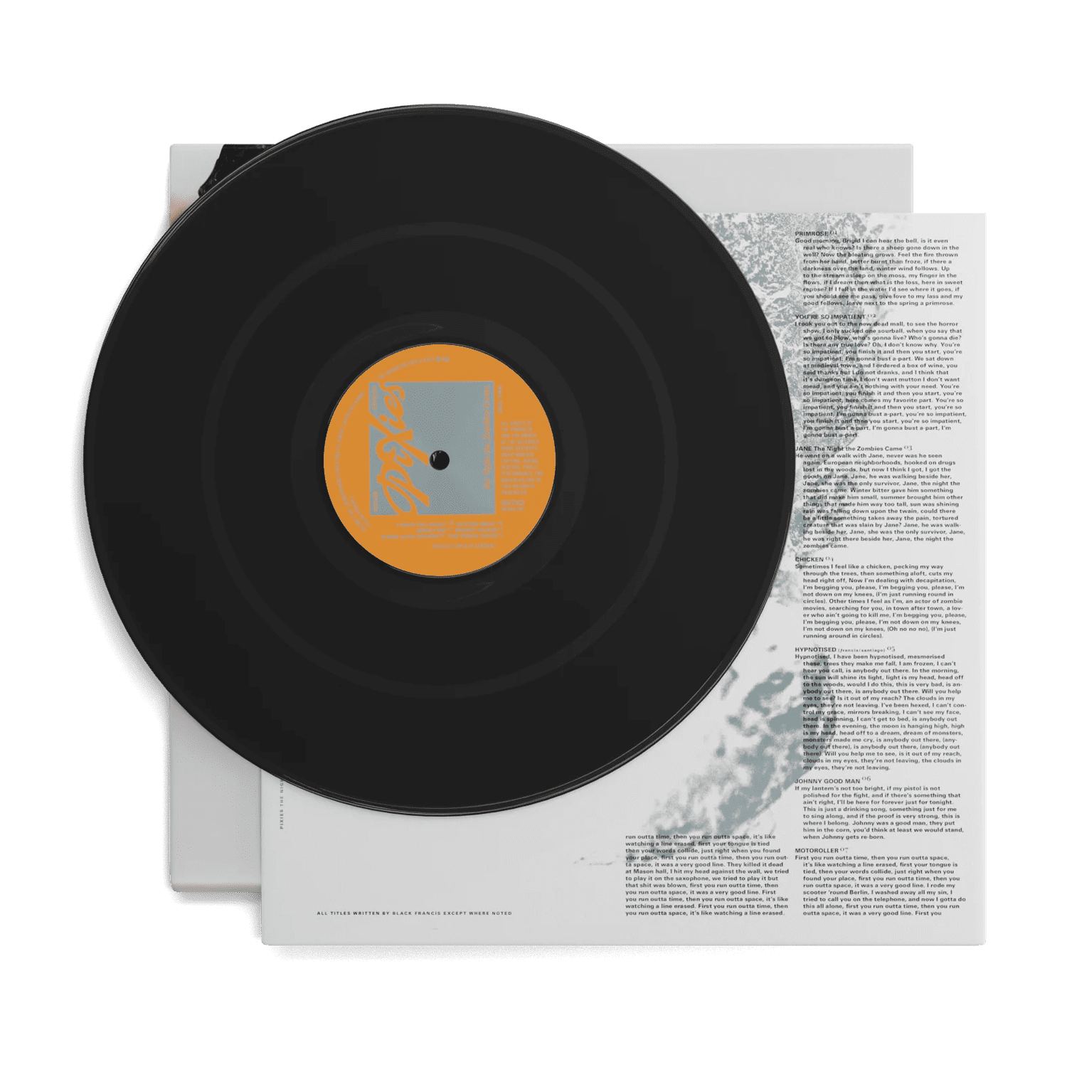 The Night the Zombies Came: VInyl LP - Image 3
