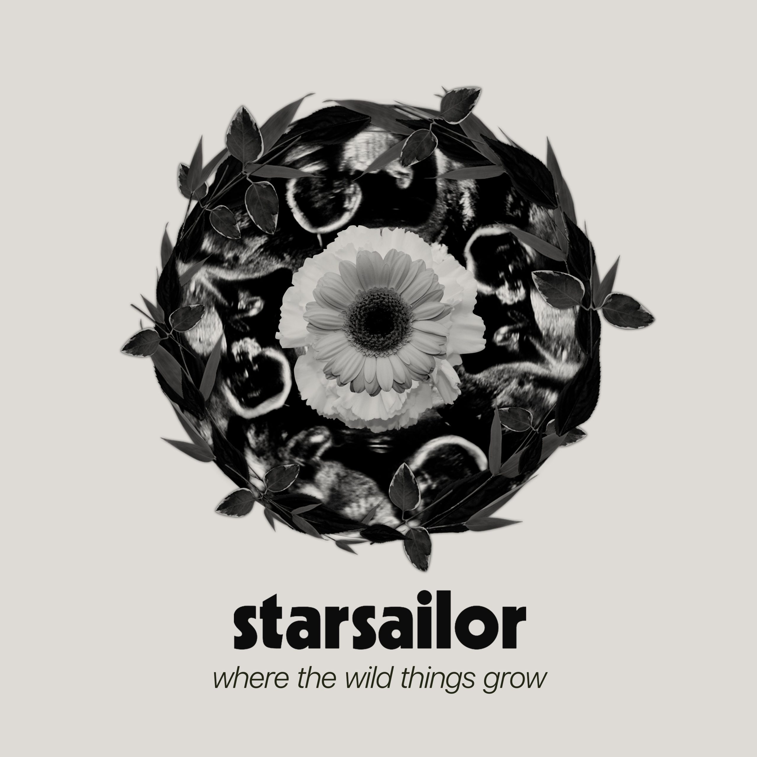 Where The Wild Things Grow: CD - Image 2