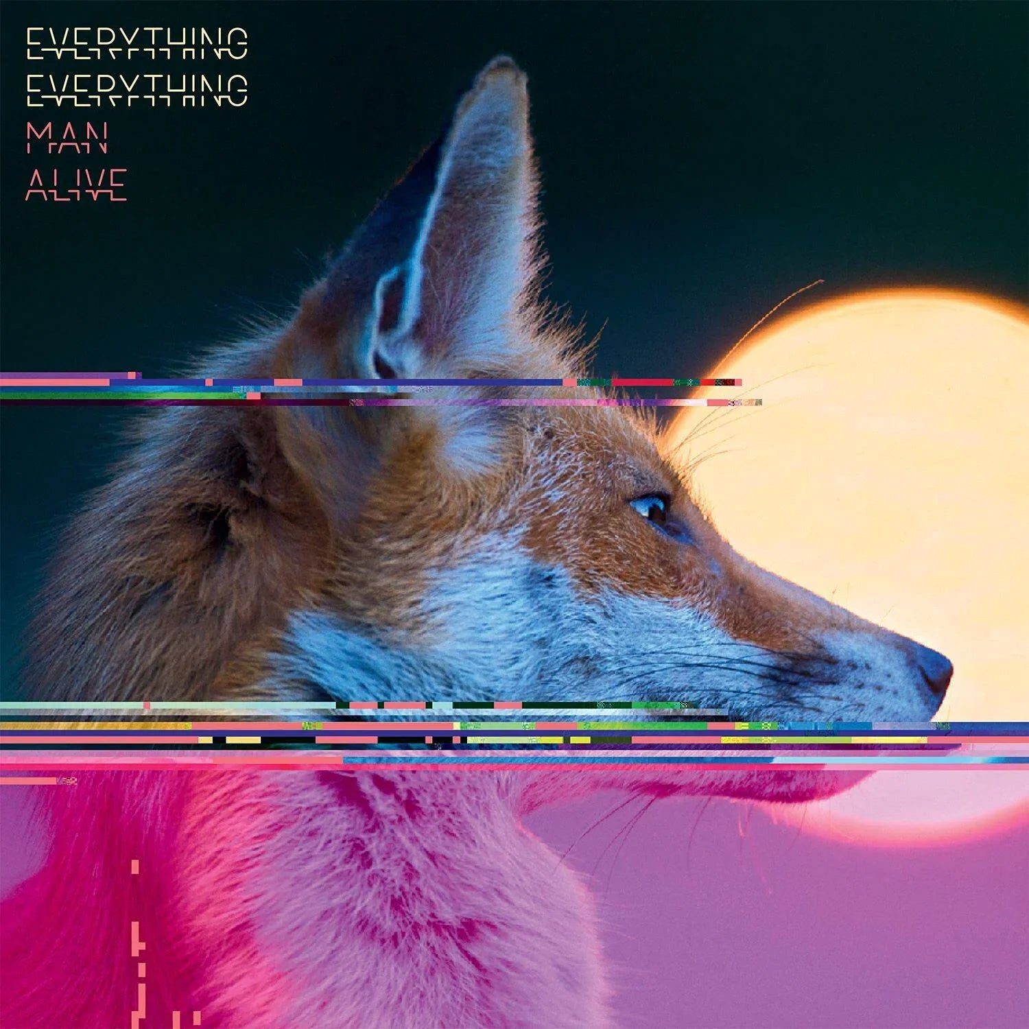 Man Alive: Limited Gatefold Vinyl 2LP + Exclusive Signed Print - Image 2