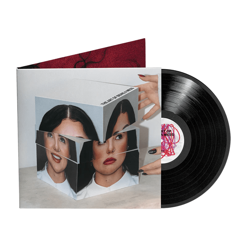 The Art of Being A Mess LP