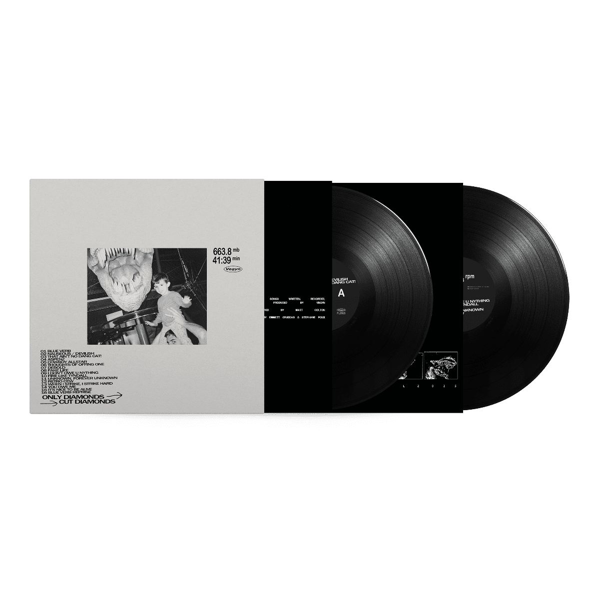 Only Diamonds Cut Diamonds (5 Year Anniversary Repress): Vinyl 2LP - Image 2
