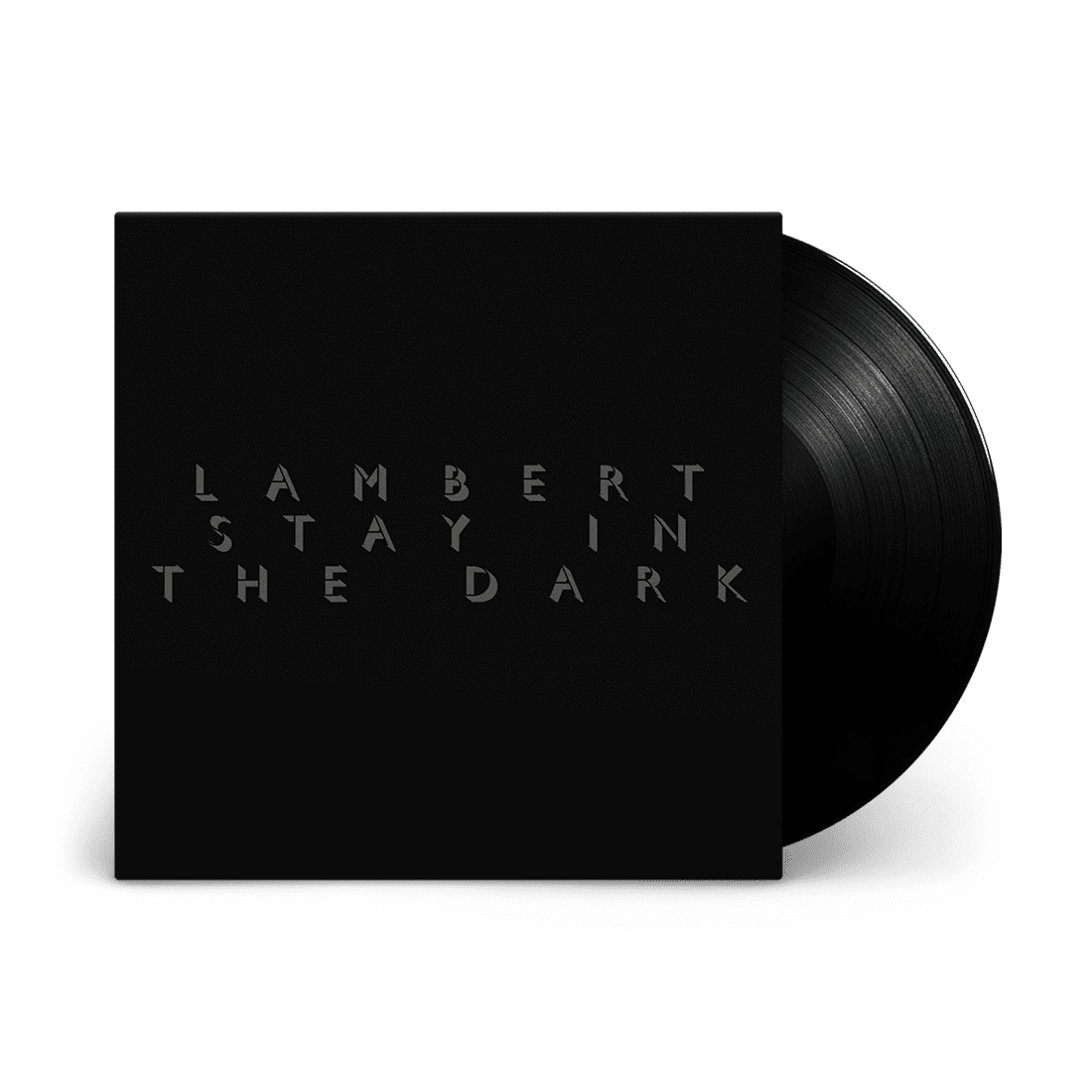 Stay In The Dark: Vinyl LP