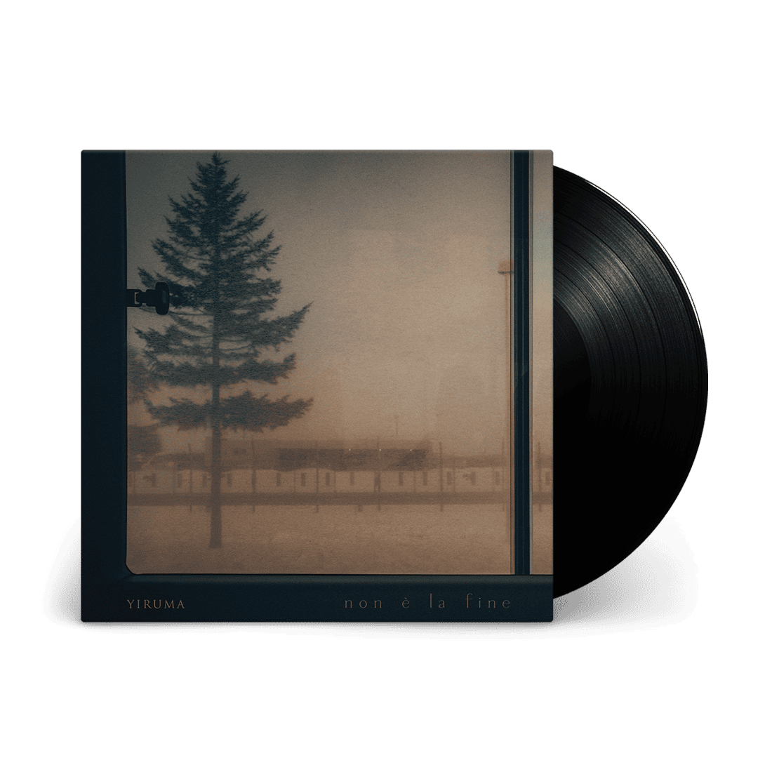 Non è la fine : Vinyl LP