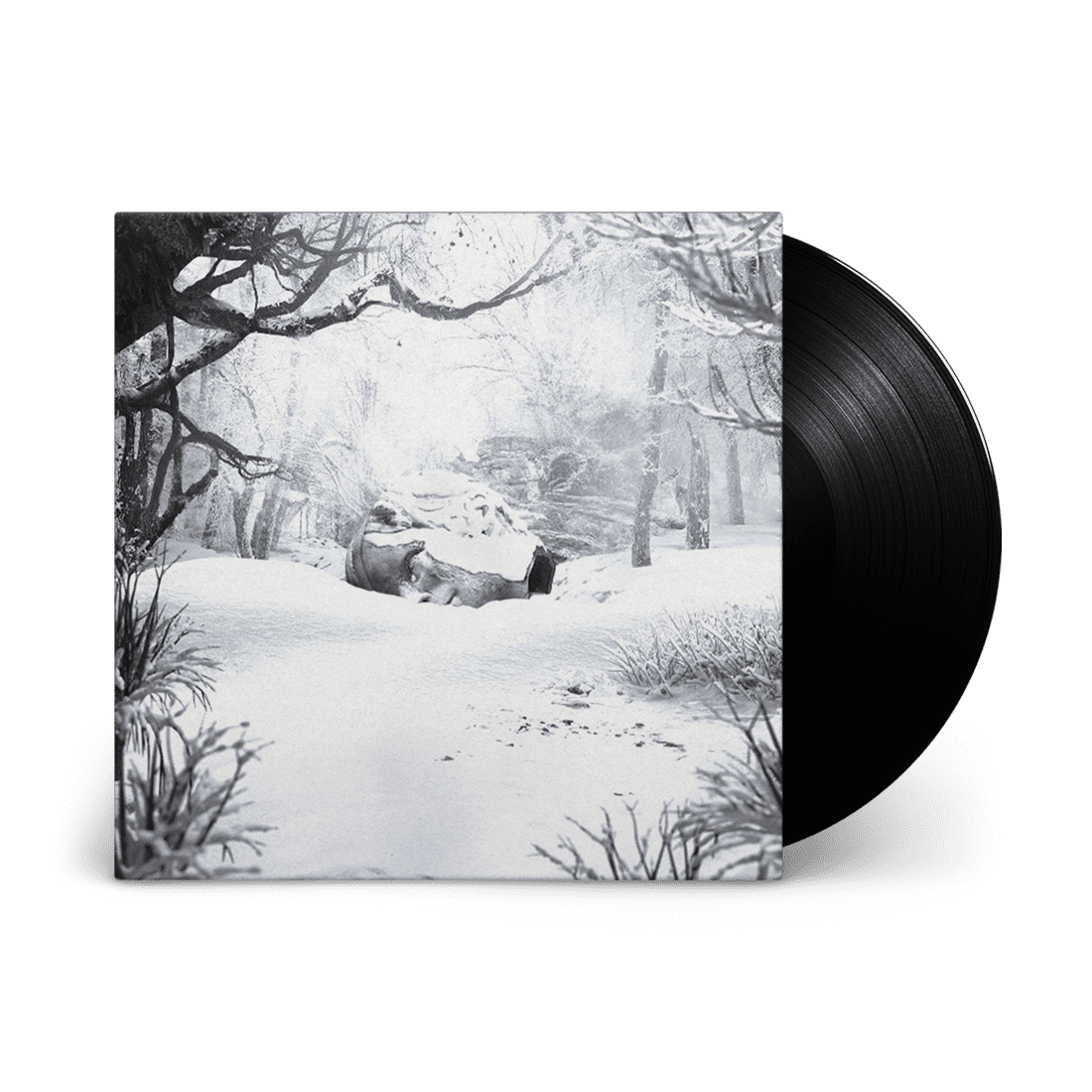 SZNZ: Winter: Vinyl LP